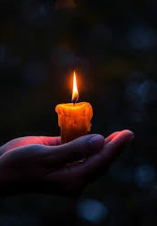 Lauren Foster Accident, Charlotte North Carolina, Death: Beloved Lauren Foster Died In Tragic Crash